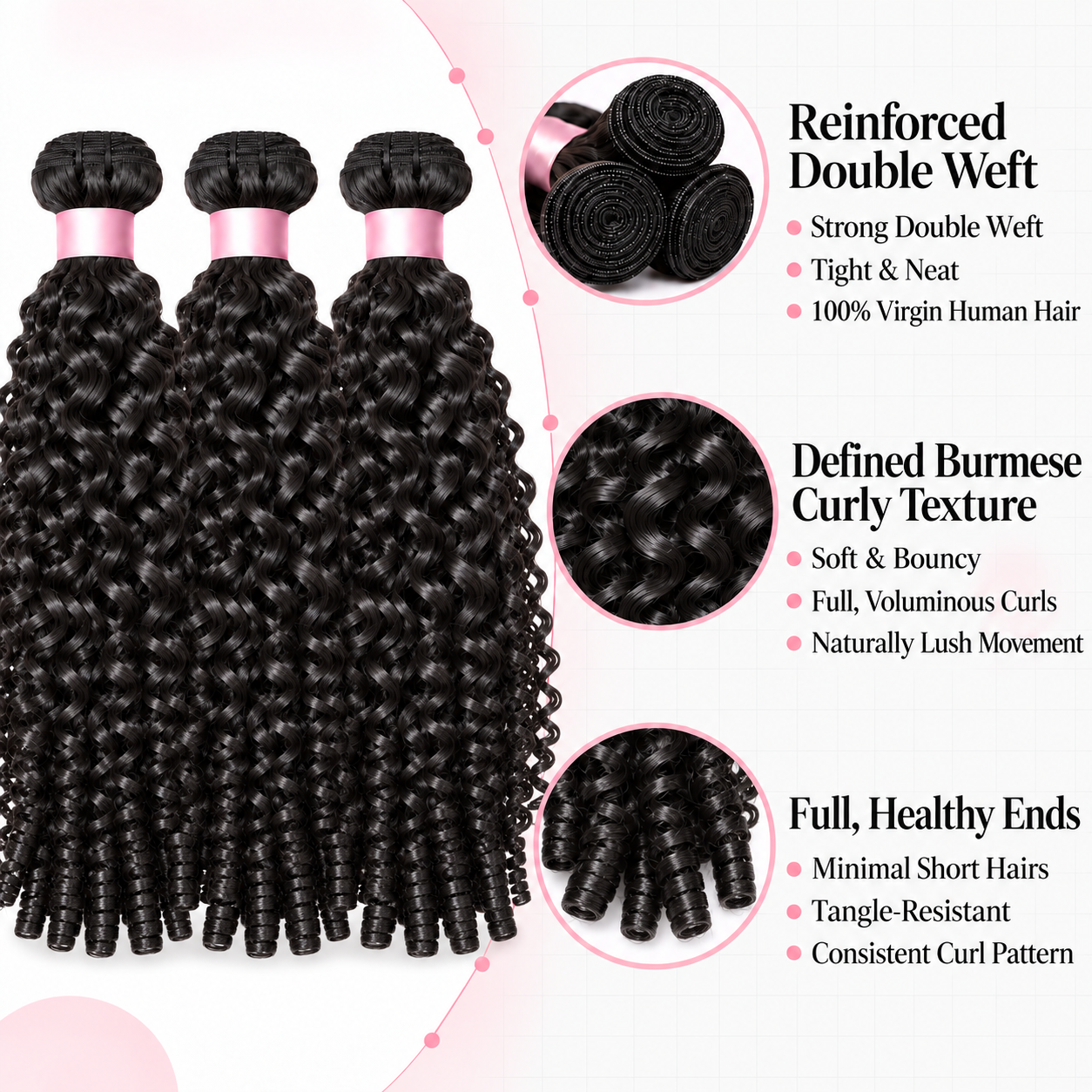 Booji Burmese Curly
